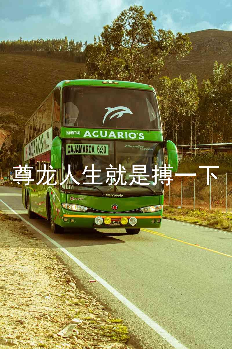尊龙人生就是搏一下