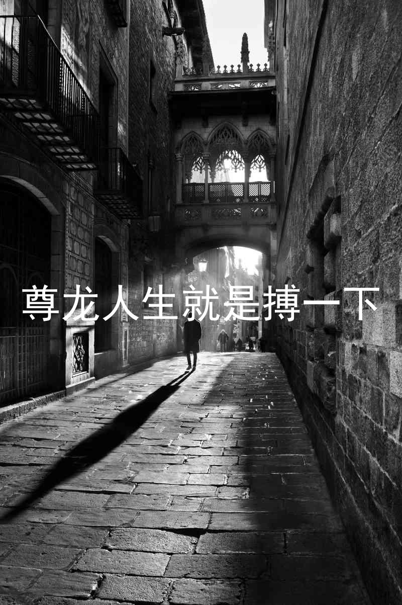 尊龙人生就是搏一下