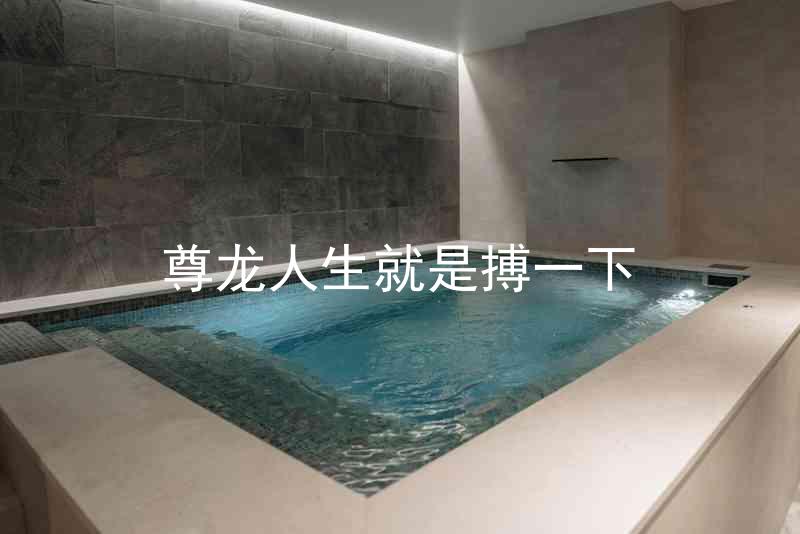 尊龙人生就是搏一下