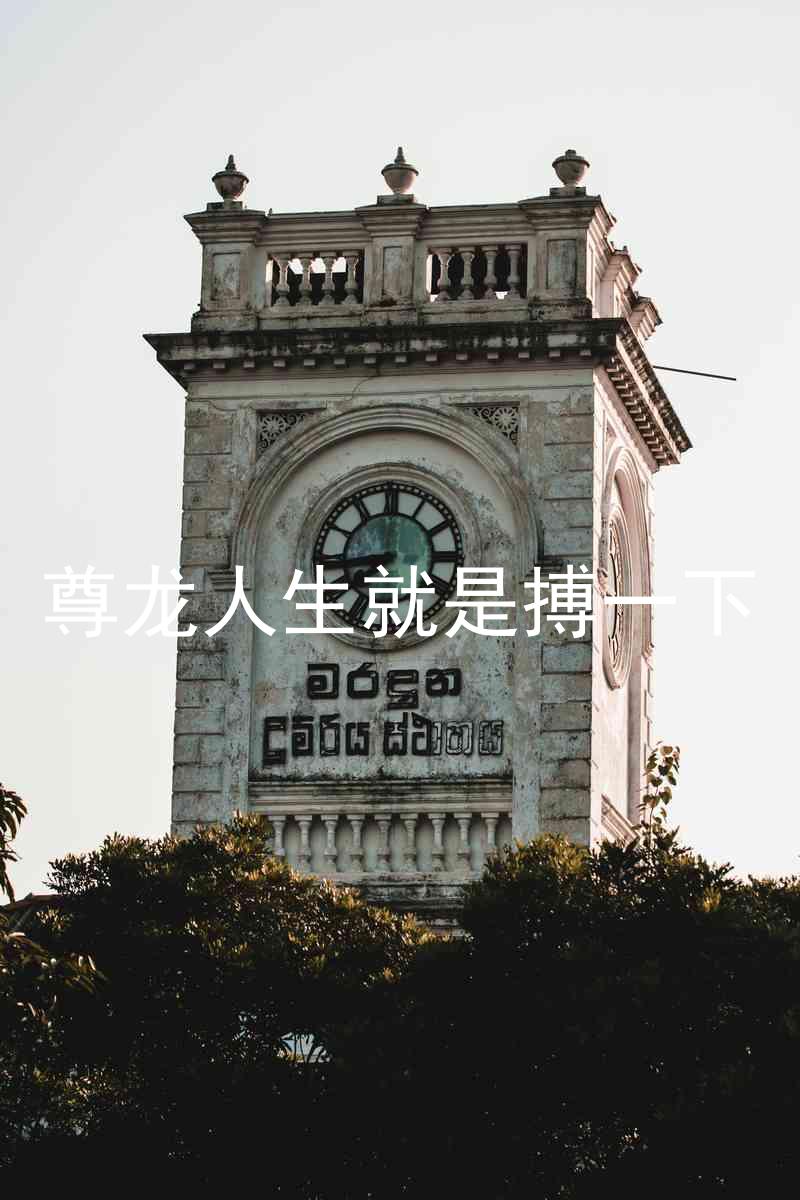 尊龙人生就是搏一下